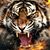 Scottye L. Simmons's profile image