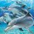 Sandi Garoutte's profile image