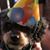 Peggy Rannick's profile image