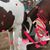 Julie Nicholas's profile image