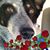 Debra Lowery's profile image