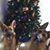 Elizabeth Ebaugh Stapp's profile image
