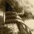 Annelie Rosenblum's profile image