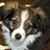 Donita Kier's profile image