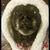 Tina Reinke's profile image