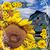 Lucy Gandulla's profile image