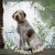 Ros Kilpatrick Duda's profile image
