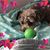 Danni Van Hattem's profile image