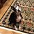 Tricie Kelleher Scholer's profile image