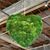 Beatriz Landa's profile image