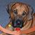 Laura Knight's profile image