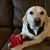 April Klipstein-Eastham's profile image