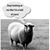 DeAnne Hudson Hite's profile image