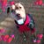 Elizabeth J. Wilson's profile image
