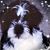 Maters Nicole's profile image