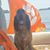 Katherine Shull Williams's profile image