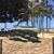 Nancy Kueter's profile image