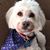 Anna Dalotto Imbeault's profile image