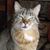 Elizabeth O'Connor's profile image