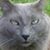 Crystal Renee's profile image