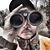 Jeremy Peace's profile image