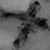 Sunny Zebe's profile image