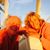 Lynn Brownlee Manion Safarik's profile image