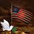 Connie Scarvelli Jordan's profile image