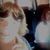Julie Hill Lavicky's profile image