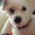 Dawn York's profile image