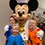Amy Barmore Pasley's profile image