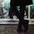 Marcia Marcks's profile image