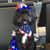 Ro Pernelli's profile image