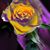 Susan Wark's profile image