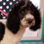 Christine Muse-Mclaughlin's profile image