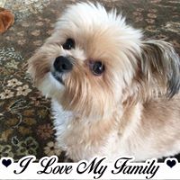 Cindy Saffle's profile image
