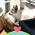 Jennifer Horbelt's profile image