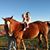 Annette G Boone's profile image