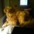 Dawn Fahy's profile image