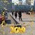 Sandra Arviso Anguiz's profile image