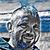 Joe Williams's profile image