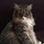 Elizabeth Anderson's profile image