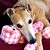 Ellen Griffiths's profile image