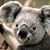 Chrissie Smith's profile image
