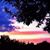 Steven Turney's profile image