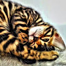 Judith S.'s profile image