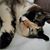 Cindy Williams's profile image