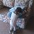 Dustan Harless's profile image