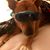 Linda L Dieckhoff's profile image