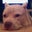 Jenny Park's profile image